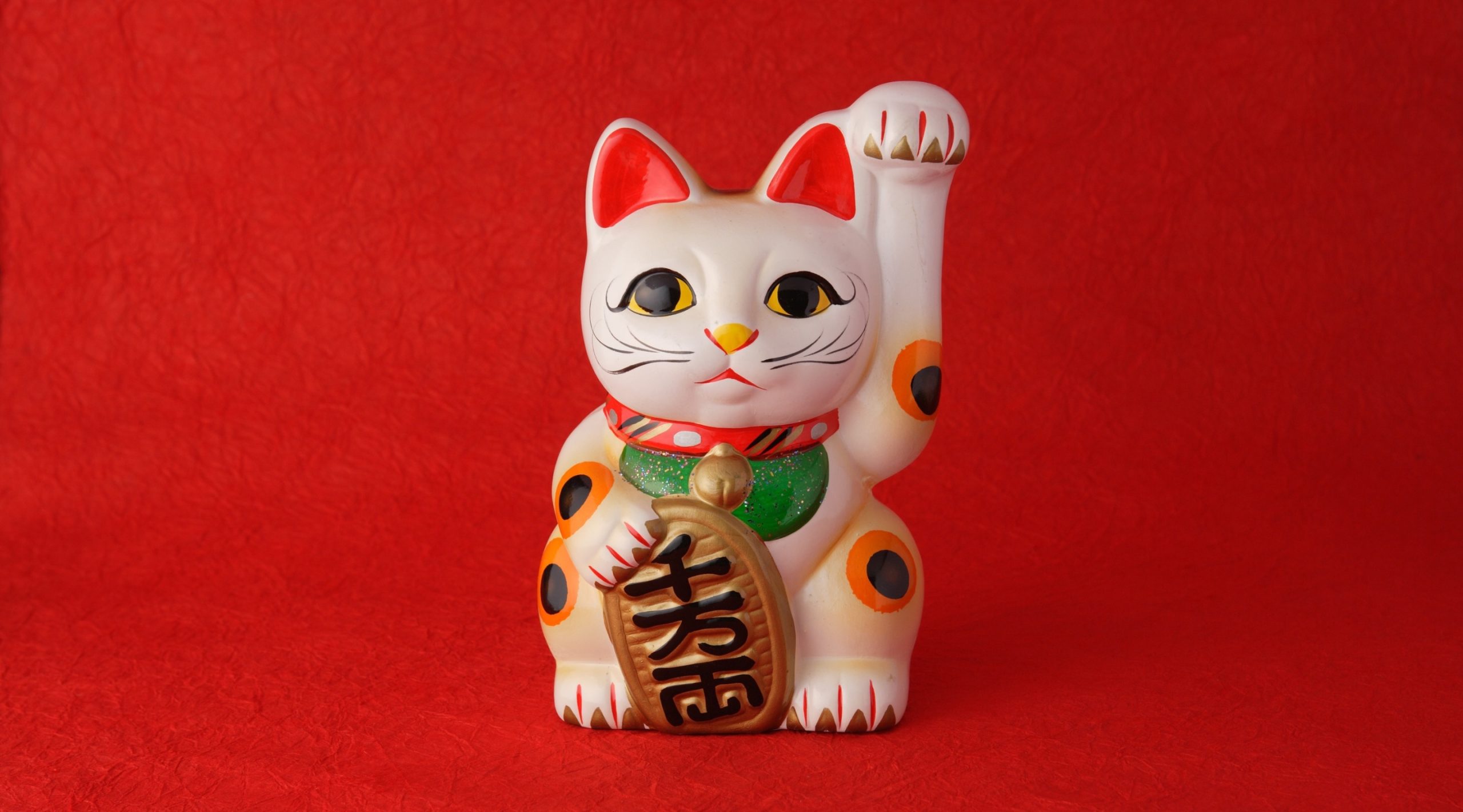 lucky cat 3d decoration